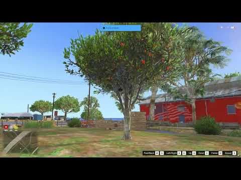 Secure Coding & Anti-Cheat (Cruze)